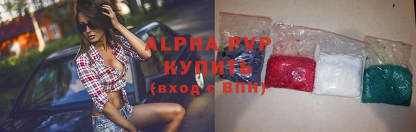 крисы Белокуриха