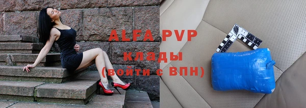крисы Белокуриха