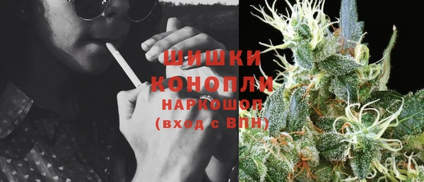 гашик Козельск