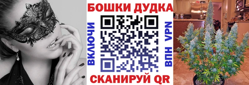 купить наркотик  Гремячинск  МАРИХУАНА THC 21% 